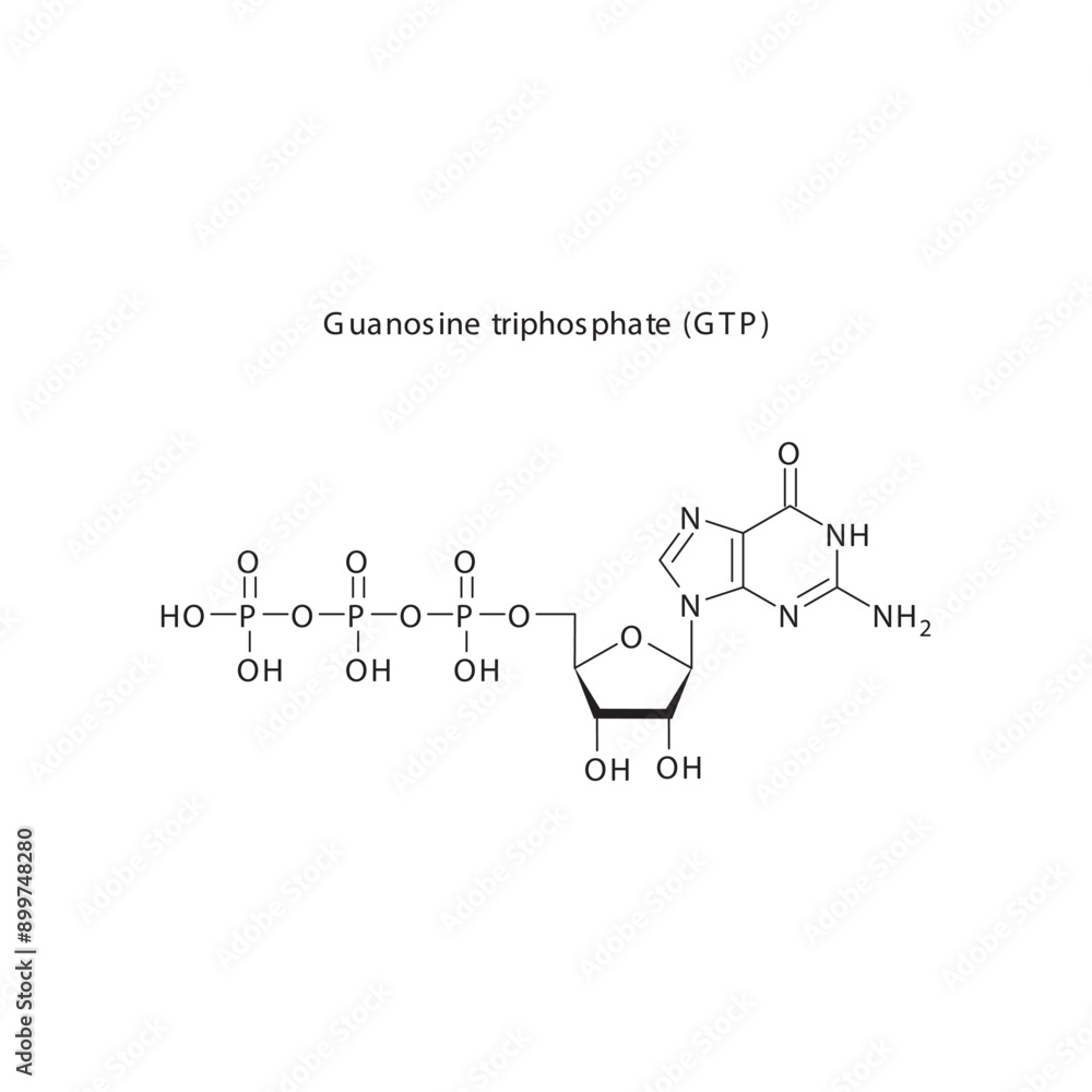 Guanosine triphosphate (GTP) skeletal structure schematic illustration, Nucleoside molecule. Guanosine triphosphate (GTP) skeletal structure schematic illustration, Nucleoside molecule.