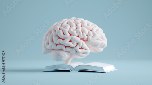 A realistic human brain model placed on an open book, floating against a light blue background, representing knowledge, learning, and cognitive processes.