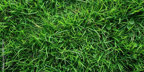 Green grass background. Ai generation.