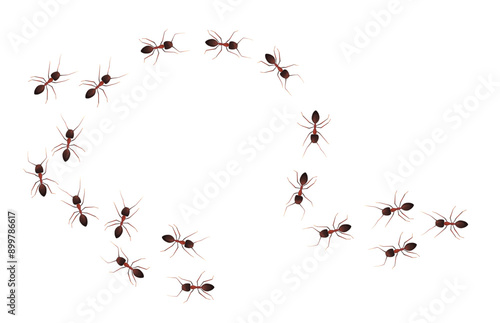 Ant trail marching in circle shape. Vector illustration