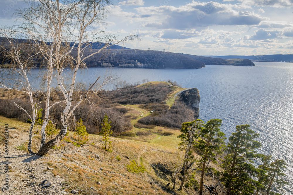 The Russian birch tree on the cliff at Zhiguli mountains, by Volga river shore, in Samara oblast of Russia.
The Russian birch tree on the cliff at Zhiguli mountains, by Volga river shore, in Samara oblast of Russia.