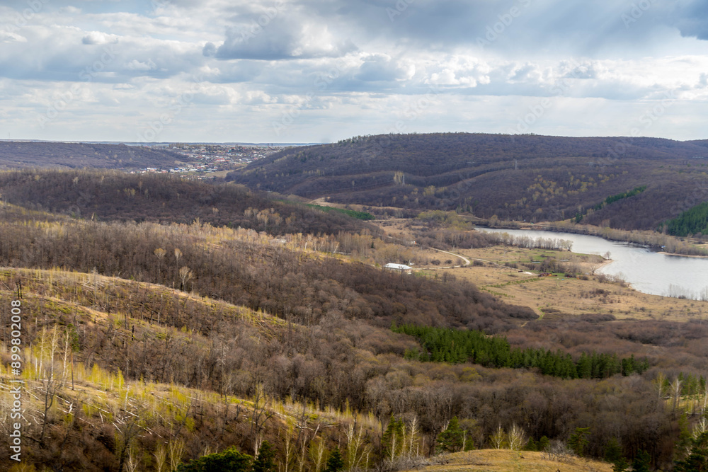 Fototapeta premium The Russian forest at Samara oblast, Russia, during the cloudy spring day. 