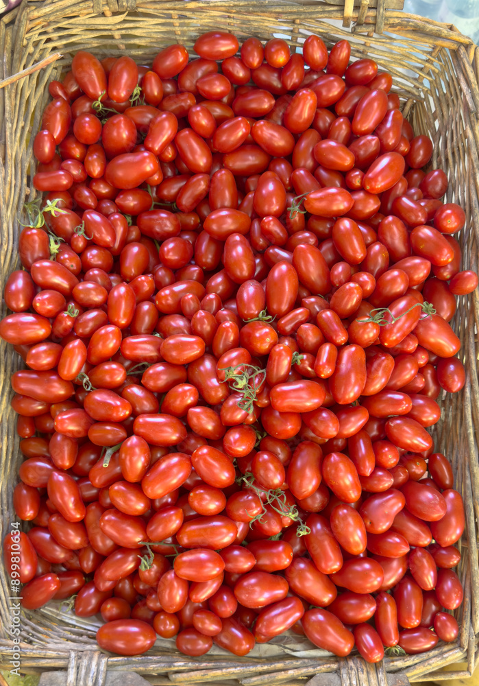 Pachino climbing cherry tomato in wicker basket Pachino climbing cherry tomato in wicker basket