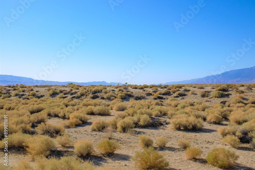 Sparse Desert Scrubland with Mountain Backdrop, Alabama Hills, California