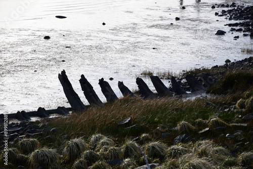 Astoria's Coastal Relic: The Barebones of a Shipwreck photo