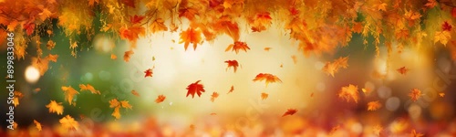 autumn forest background with golden lighting and bright orange maple leaves. beautiful colorful fall season nature scene with copy space. Web site banner