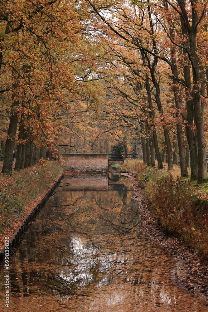 Naklejka premium Betrachtung des Klosters Dinklage im Herbst