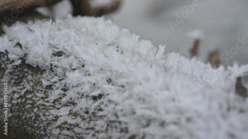 Tiny snow and ice crystals formed at wooden branches fallen to river in winter. Cold weather scene, camera pans to side