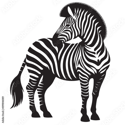 zebra Silhouette vector white back ground