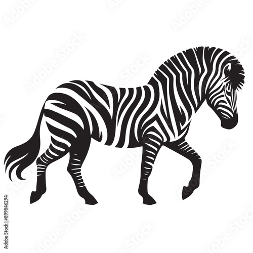  zebra Silhouette vector white back ground