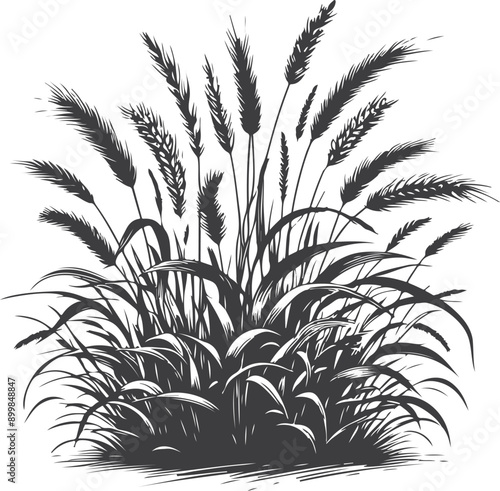 Grass set graphic black white isolated sketch illustration vector