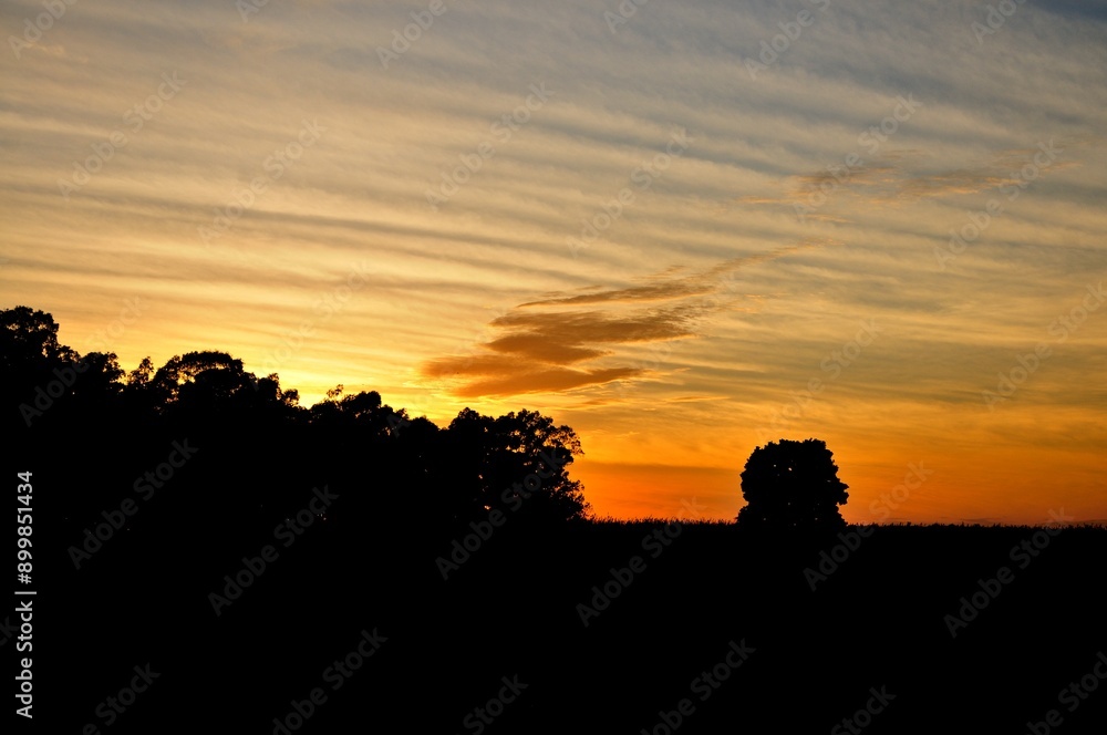 Amanecer en Colonia del Sacramento, Uruguay, justo al salir el sol, con árboles en silueta Amanecer en Colonia del Sacramento, Uruguay, justo al salir el sol, con árboles en silueta
