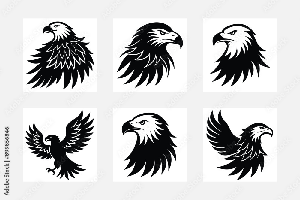 Obraz premium set of eagle