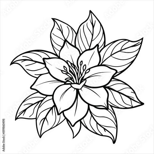 Exotic Flora Detailed illustrations of exotic flowers and plants line art vector