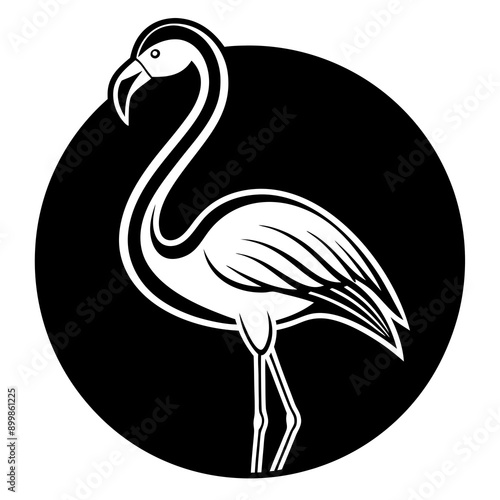 A beautiful harsh bird tail and wings Vector illustration image & photo 