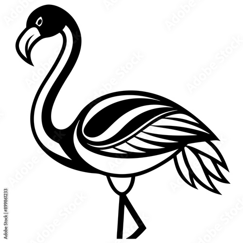 A beautiful harsh bird tail and wings Vector illustration image & photo 
