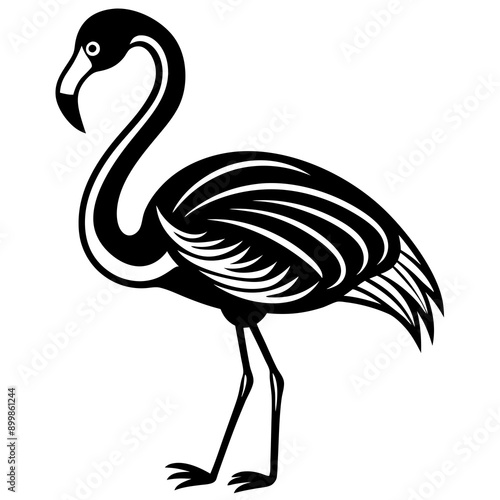 A beautiful harsh bird tail and wings Vector illustration image & photo 
