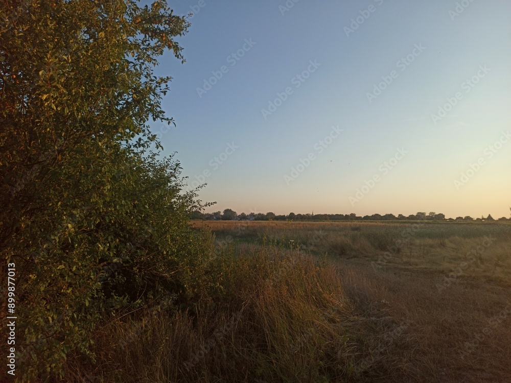 HD Wallpaper Background Hay Dry Grass Countryside Pictures High Resolution Quality Popular Transcarpathian Flora Nature Beautiful HD Wallpaper Background Hay Dry Grass Countryside Pictures High Resolution Quality Popular Transcarpathian Flora Nature Beautiful