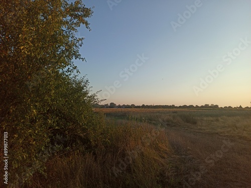 HD Wallpaper Background Hay Dry Grass Countryside Pictures High Resolution Quality Popular Transcarpathian Flora Nature Beautiful  photo