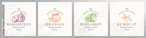 Organic Fruit Berries Logo Templates Set. Hand Drawn Mangostine, Orange, Bergamot and Kumquat Sketches with Retro Typography. Premium Plant Based Vegan Food Badge Emblems Collection Isolated photo