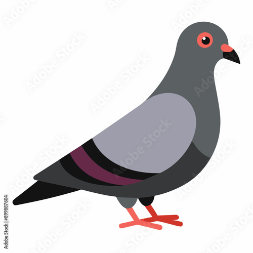 illustration of a bird