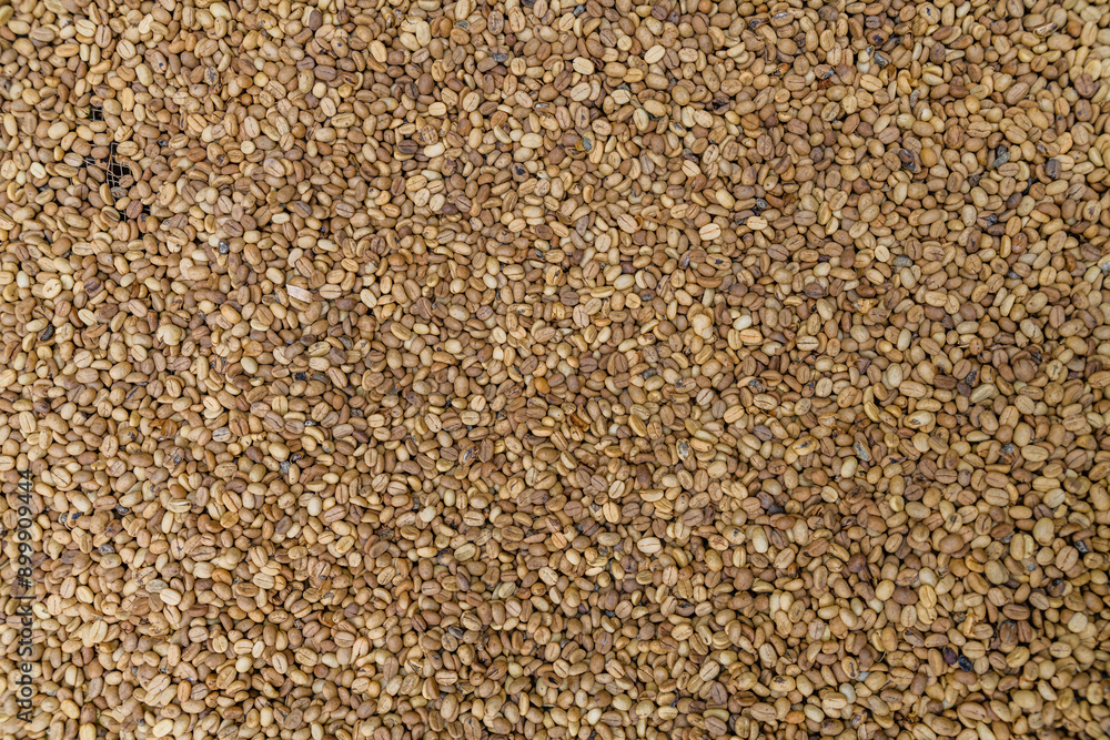 Background of coffee beans. Natural pattern Background of coffee beans. Natural pattern