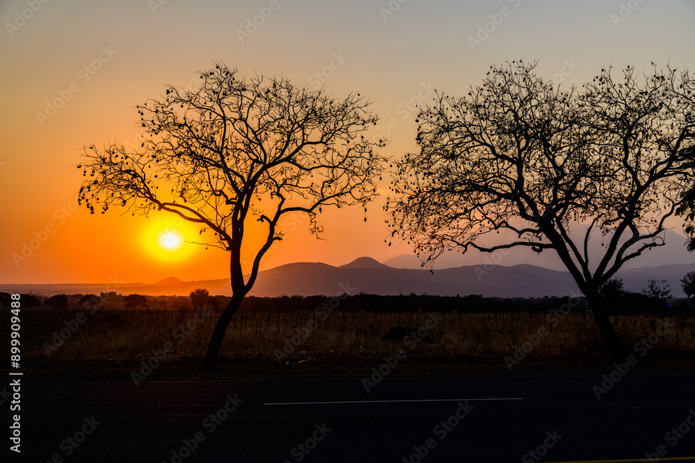 Landscape at the Arusha national park at sunset, Tanzania Landscape at the Arusha national park at sunset, Tanzania