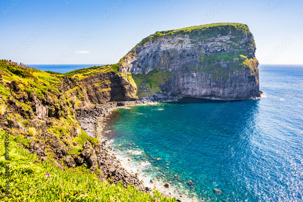 Beautiful rock cliff with flowers and tropical plants at Ponta do Morro Castelo Branco on coast of Faial island, Azores, Portugal