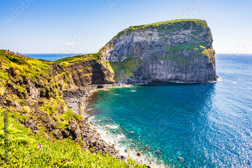 Obraz na płótnie Beautiful rock cliff with flowers and tropical plants at Ponta do Morro Castelo Branco on coast of Faial island, Azores, Portugal w salonie