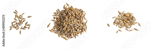 barley grains on a white background photo