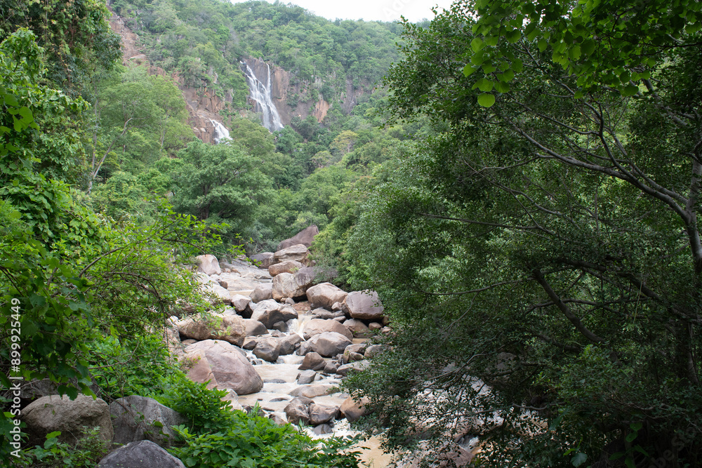 lodh waterfalls as seen through the dense forest of palamou tiger reserve in latehar district, jharkhand, india lodh waterfalls as seen through the dense forest of palamou tiger reserve in latehar district, jharkhand, india