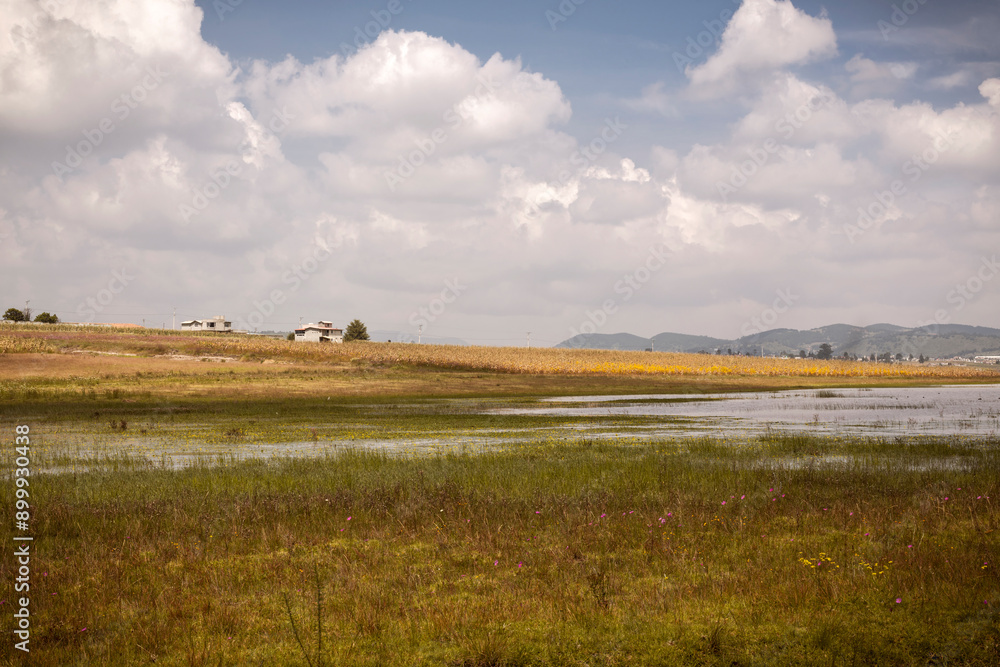 Landscape with a moor of puddles with yellow grass with clouds and a house in the field in El Oro, north of the State of Mexico Landscape with a moor of puddles with yellow grass with clouds and a house in the field in El Oro, north of the State of Mexico