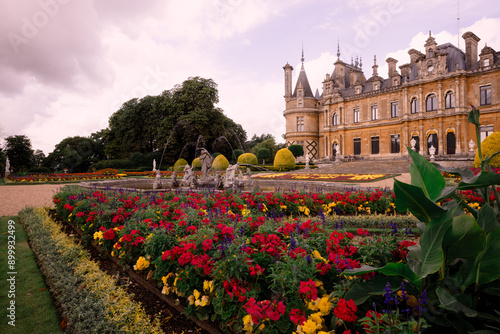 The parterre at the Manor in Waddesdon in full bloom photo