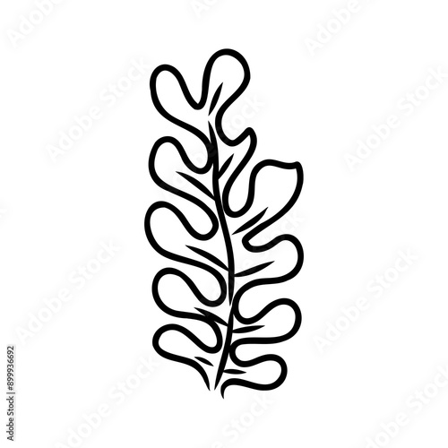 Underwater sea weed, laminaria spirulina seaweed sketch icon.