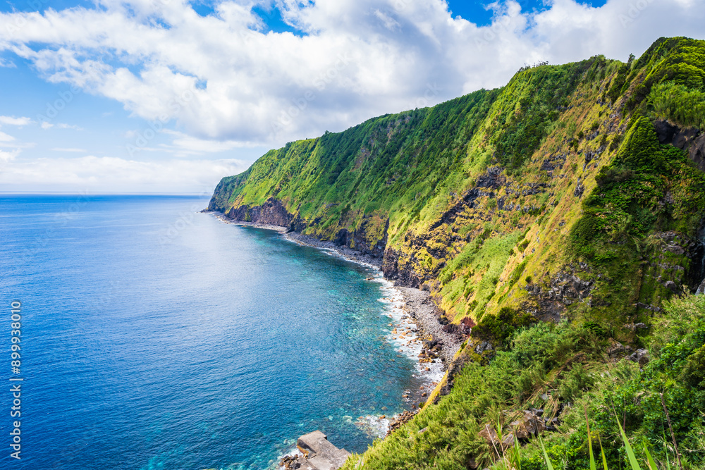 Beautiful bay with beach and tropical plants on ocean coast at Farol do Arnel, Sao Miguel island, Azores, Portugal Beautiful bay with beach and tropical plants on ocean coast at Farol do Arnel, Sao Miguel island, Azores, Portugal