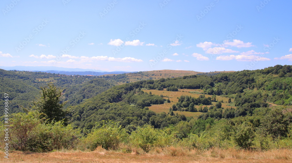 landscape with forest landscape with forest