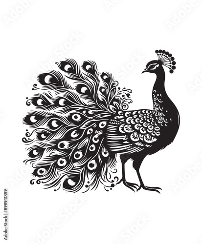 Canvas Print peafowl bird vector art,graphics peafowl birds icons set,vintage illustration pe