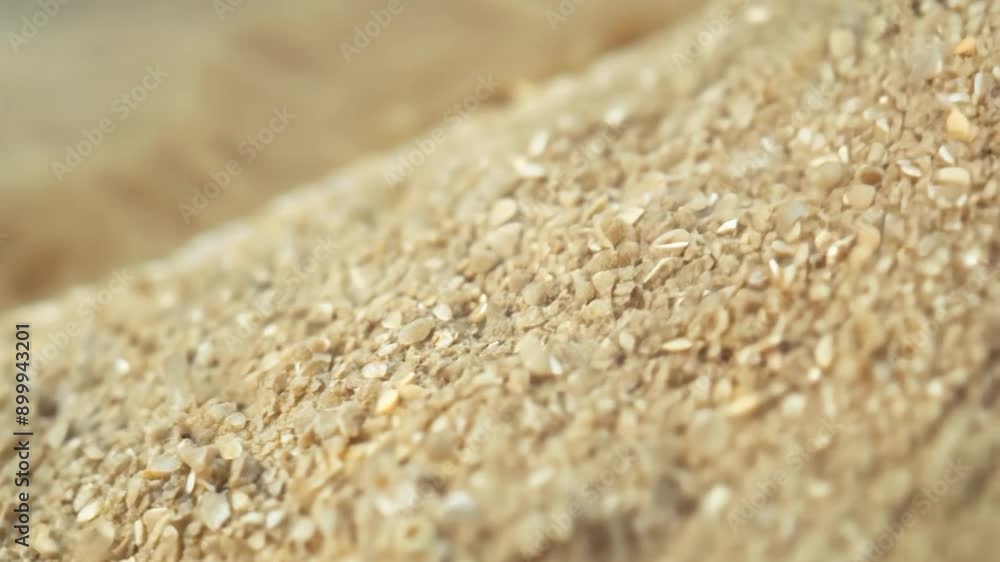 A large mound of freshly harvested grain rests on a sunlit field, showcasing its natural texture and earthy tones in the tranquil morning light A large mound of freshly harvested grain rests on a sunlit field, showcasing its natural texture and earthy tones in the tranquil morning light