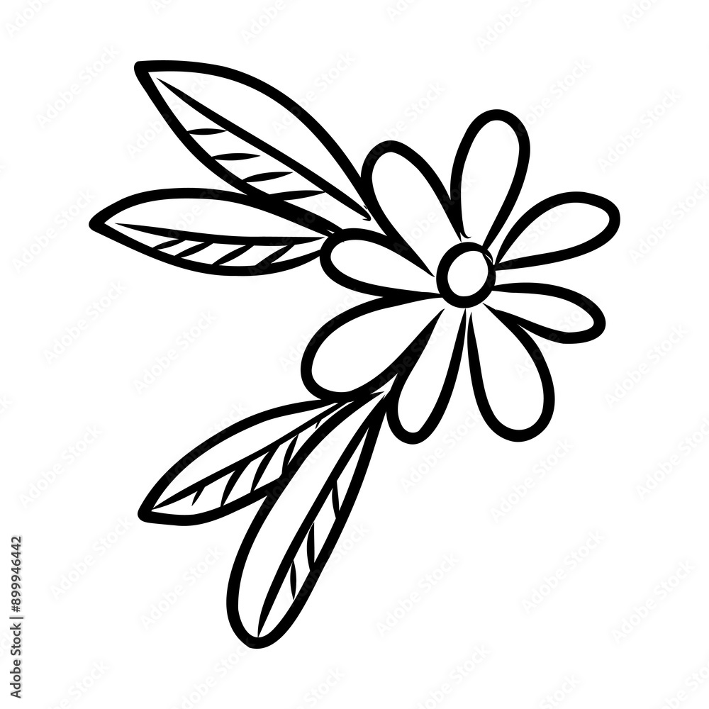 illustration of a flower sketch on white background illustration of a flower sketch on white background