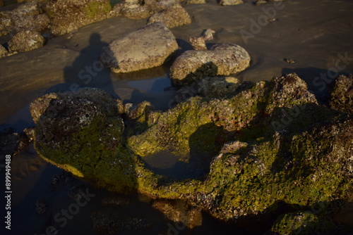 Rock in Beach