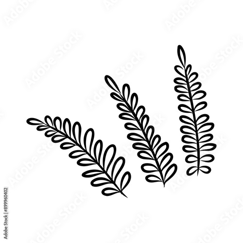 Shrub of various shapes, bush of grass With illustration style doodle and line art