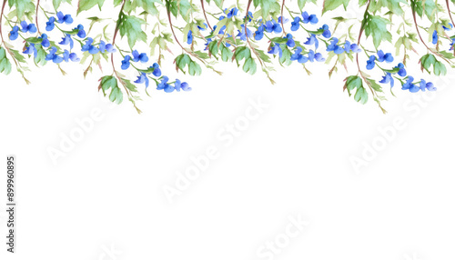 watercolor purple and blue flower with leaves Delphinium Flower with branch and leaves isolated on white background, corner border