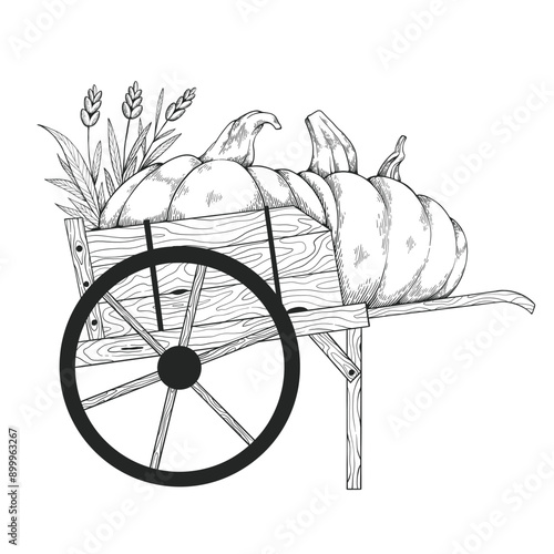 Wooden cart with harvested pumpkins and wheat - black and white graphic illustration