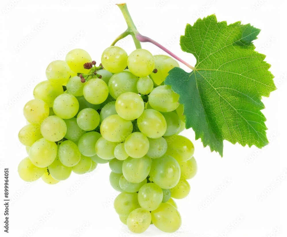 Bunch of white grapes on a white background Bunch of white grapes on a white background