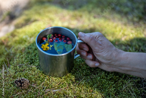 Unrecognizable hand with mug of green tea made from wild strawberries, mint leaves and St. John wort during nature retreat. Vitamin-rich and healthy herbal tea made from gathered berries and herbs photo