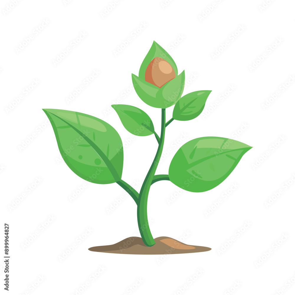 Obraz premium Vector Illustration of a Young Plant with Leaves and Bud