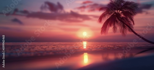 Palm Tree Sunset Over Ocean