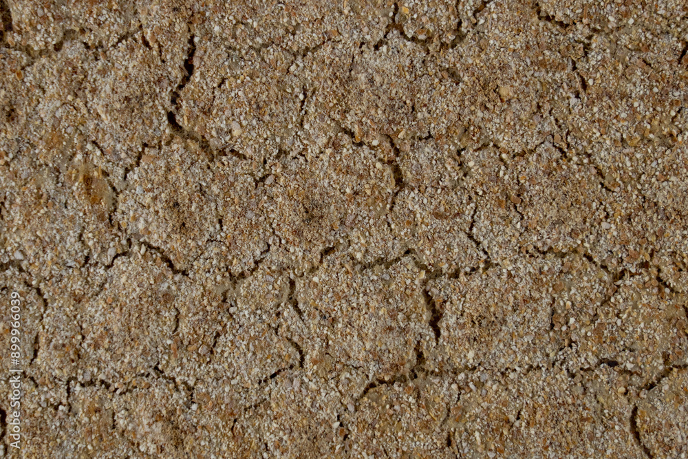 texture of crisp bread texture of crisp bread