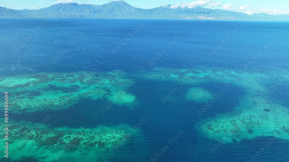 A beautiful coral reef surrounds the volcanic island of Pulau Pura in Indonesia. This scenic area is near Maumere, Flores, and is home to extraordinary marine biodiversity. A beautiful coral reef surrounds the volcanic island of Pulau Pura in Indonesia. This scenic area is near Maumere, Flores, and is home to extraordinary marine biodiversity.