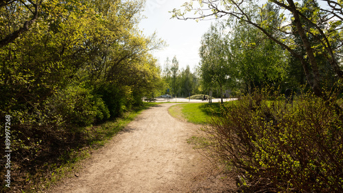 path in the park